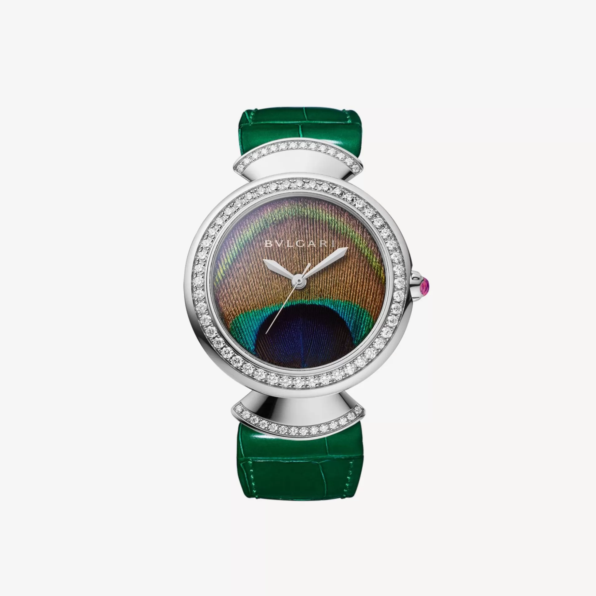 Discount BVLGARI Divas' Dream Watch